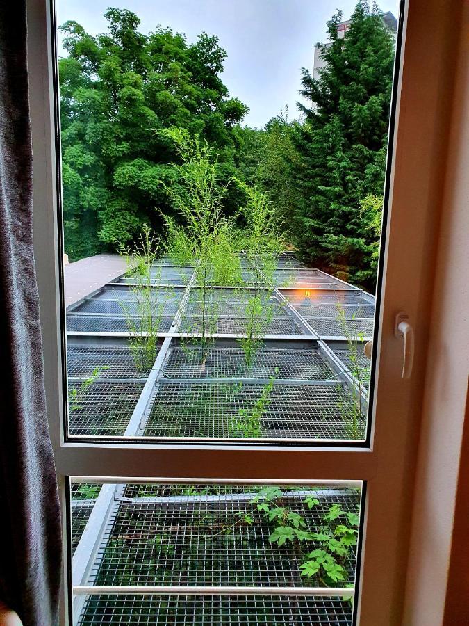 Papageiennest Appartement *